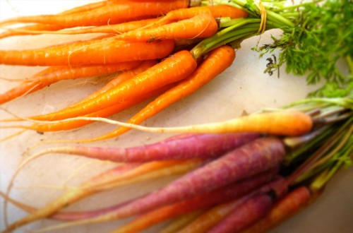 Fresh carrots for crispy carrot foam