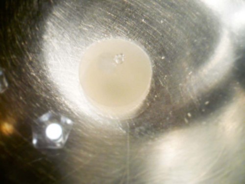 Rinsing an encapsulated ginger sphere