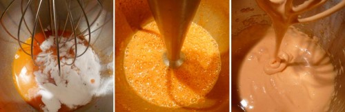 Whipping carrot juice with Methocel F50
