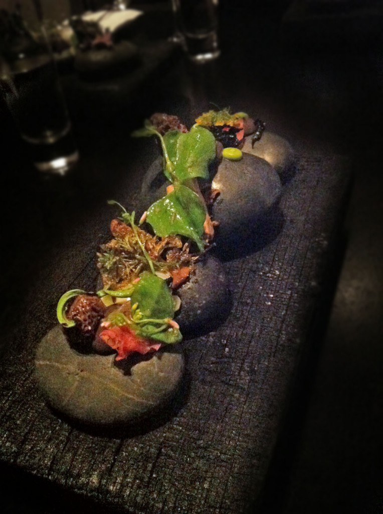 Alinea Recipe: Burn Morels, ramp, fiddlehead fern, miner’s lettuce